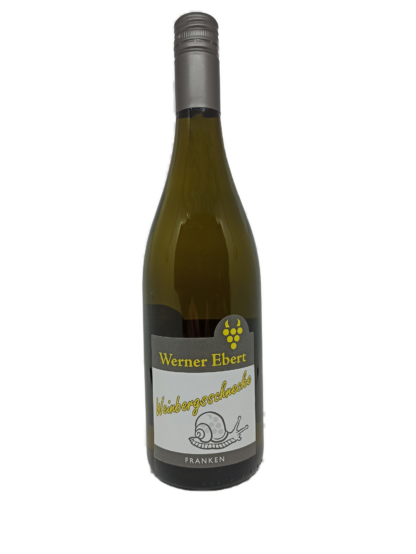 Weinbergsschnecke
